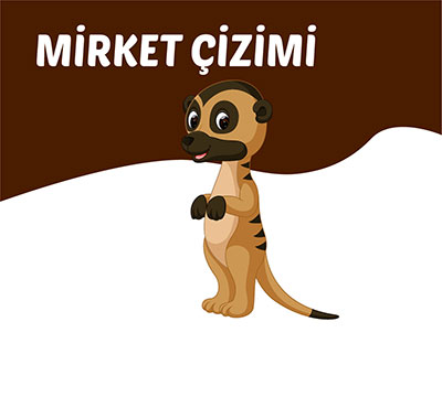 Mirket